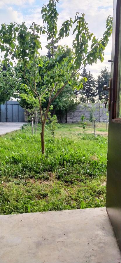 Apartment Near Baku Airport 외부 사진